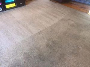 carpet-before-and-after.jpg