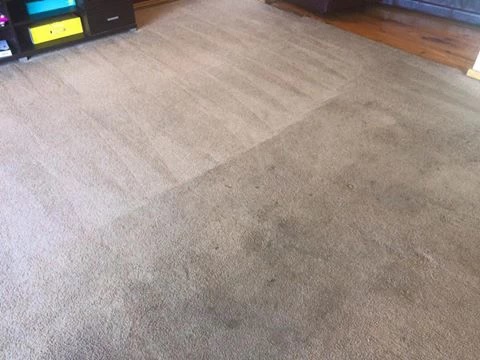 carpet-before-and-after-1