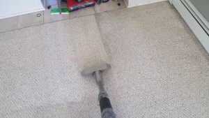 carpet cleaners.jpg